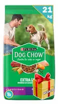 Comida Dog Chow Adulto Mayores 21 Kg  C/salsa + Envío 