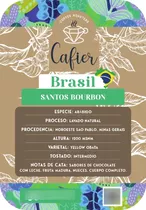 Café En Grano Tostado 100% Santos Bourbon Brasil X 1 Kg.