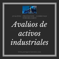 Perito / Avaluo / Sudebip / Activos / Fondo De Comercio