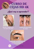 Curso De Cejas Hd 4k (laminado De Cejas) 