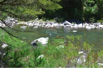 Parcelas De 5.000 M2, Con Río Longaví.