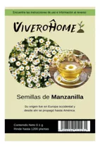 Semillas De Manzanilla, Hierbas De Olor Para Huerto En Casa