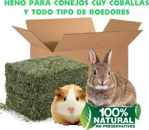 Heno D Alfalfa Natural Roedores Conejo Cuy Chinchilla 3.2 Kg