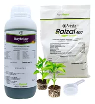 Raizal 400 Enraizador 1kg   +   Bayfolan Forte 1 Litro Pack