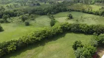 Se Vende Hermosa Finca En Bayaguana