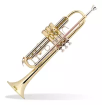 Trompeta Bach Tr500 Sib Dorada Caja Cerrada