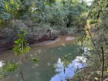 Finca De 147 Tareas De Tierra Con Hermoso Río