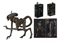 Figura Muñeco Alien Ultimate Dog Neca Avp Predator Deluxe 