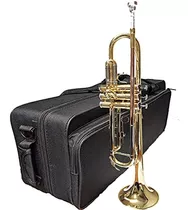 Nuevo! Herche Superior Bb Trompeta M1 | Instrumentos Profesi