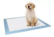 Paños Pañales  Master Pet Max 90x60 Entrenamiento Perro X10