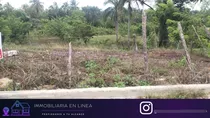 Gran Oportunidad De Solar De 425 Metros En Venta En La Parte Alta Del Barrio Quisqueyano