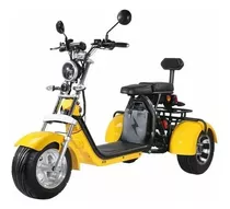 Bicicleta De Tres Ruedas 65km/h 20ah 3000w Moto