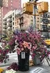 Ravensburger Puzzle Moment Flowers Nova York 300