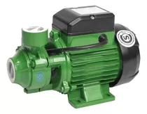 Bomba Periferica Czerweny Eleva Agua A 30mt 2400 Lts/h 0,5hp Color Verde Fase Eléctrica Monofásica Frecuencia 50 Hz