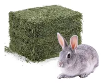 Heno De Alfalfa 3 Kg Para Roedores Conejos Cuy Hamster