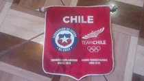 Banderín Oficial Chile 2019