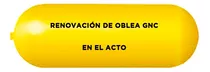 Renovacion Oblea Gnc Gas En El Acto Oferta Promocion Abagas
