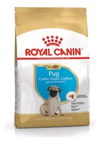 Royal Canin Pug Puppy 1.13kg Alimento Especial Premium