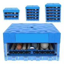 Pollos Camperos Bb Incubadora 64 Huevos A07