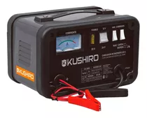 Cargador Batería 12v 24v Auto Stop Kushiro Gzl 20am Promo