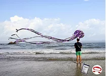 Cometa Kizh Octopus Para Adultos Y Niños - 157puLG - Fácil