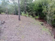 Terreno En Venta, Arroyo Bonito Constanza Rd!