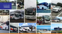 Servicio De Buses / Minibuses Para Transporte De Personas