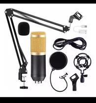 Microfone Profissional Estúdio Condensar Microphone