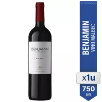 Vino Benjamin Nieto Senetiner Malbec 750ml 01almacen