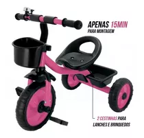 Triciclo Infantil C/duas Cestinhas Até 25 Kg 762 Zippy Toys Cor Rosa