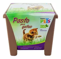 Pasto Para Gatos Fancy Pets Natural