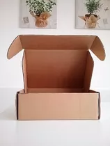 Caja De Carton Para Envíos Mediana - 31 X 23 X 11 Cm