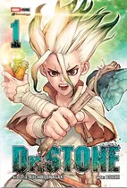 Dr Stone Manga Tomo 01 Original Español