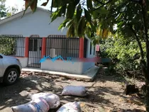 Se Vende Finca De Cacao De 807 Tareas En San Fco. De Macoris