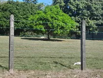 Vendo Propiedad En La Ceiba De Orotina