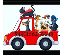 Vía Animal - Transporte De Mascotas - Traslados Al Interior