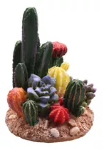 Suculentas Plantas De Cactus Para Decoración De Pecera, Cole