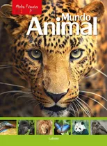 Livro Minha Primeira Enciclopédia - Mundo Animal