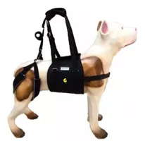 Peitoral Para Levantar Cão Com Suporte Traseiro P M G E Gg