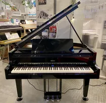Roland Gp-9 Digital Grand Piano
