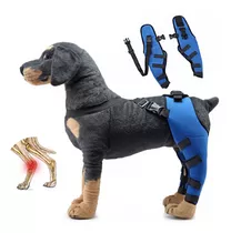 Protector De Patas Traseras Para Perro Mascota, Rodillera