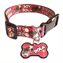 Collar + Placa Metalica Para Mascotas 100% Personalizados 