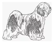 Tibetan Terrier-1e Tamaño: 2 Ancho X 1-3 4  Alto 