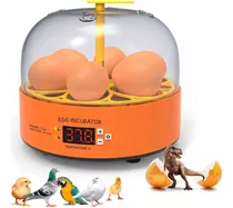 Incubadora De Ovos Digital Ecológica Premium Para Pássaros