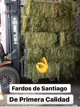 Fardos De Alfalfa Y Virutas De Pino. Alimentos Para Conejos 