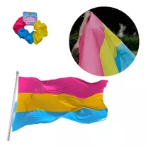 Bandera Pansexual Lgbt Pride Orgullo Gay Grande