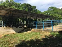 Maribel Morillo & Naudy Escalona Vende Finca Fr 700 Hectareas En Aroa Yaracuy Rah 24-15951 