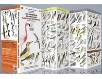 Guía De Aves Continentales Del Norte De Chile