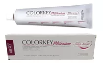 Tinta Silkey Colorkey Millenium Grisplata 12, 120 Gr