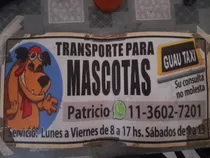 Traslados De Mascotas 